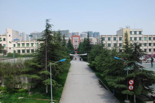 2021年四川讀電子商務(wù)學(xué)校需要什么？圖1