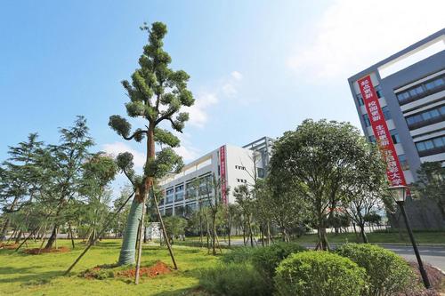 2021年成都什么衛(wèi)校有前途？