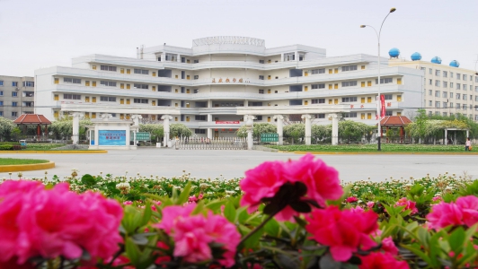成都市哪個汽修學校學生就業(yè)比較好