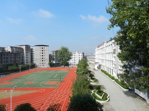 全日制大專考研究生需要什么條件（全日制大?？佳袟l件）圖1