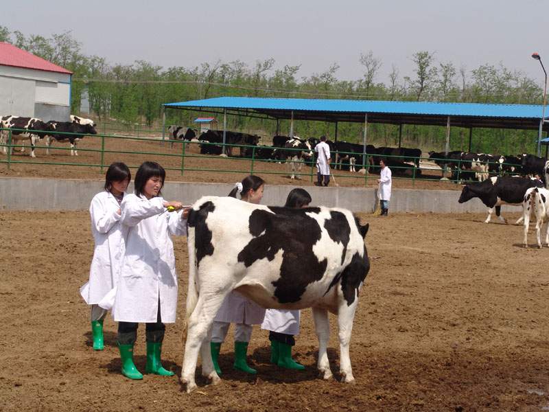 2022年成都青華職業(yè)學(xué)校有哪些專業(yè)？