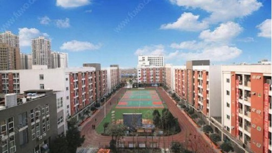 2021年四川中專電商學(xué)校有哪些專業(yè)？圖3