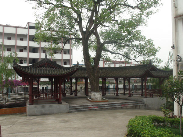 2021年四川護(hù)理學(xué)校讀什么專業(yè)？