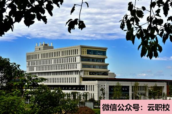 2021年瀘縣四中學(xué)辦學(xué)理念校訓(xùn)(瀘縣四中怎么樣、好不好)