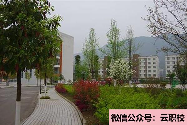 重慶光華女子職業(yè)中等專(zhuān)業(yè)學(xué)校招生條件(重慶沙坪壩區(qū)2021年初中生可以上衛(wèi)校嗎)