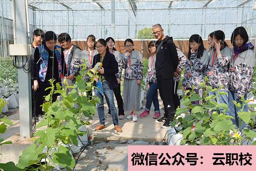 2021年特色幼兒園、幼教藝術(shù)企業(yè)、創(chuàng)意產(chǎn)業(yè)園、國際幼教集團(tuán)(幼兒教育(國家級非遺藝術(shù)班))