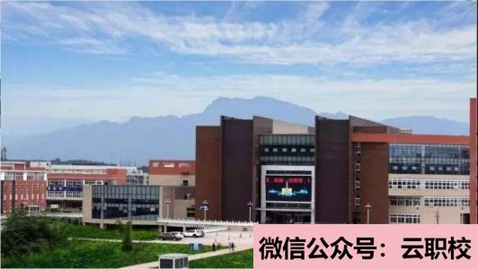 2021年四川華迪信息技術(shù)有限公司(四川托普計算機職業(yè)學(xué)校)圖1