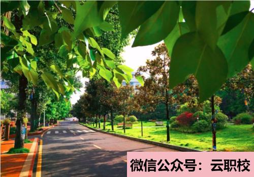 甘肅2021年女生適合護理學校嗎