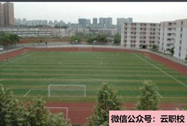 在衛(wèi)校里面適合女生的專(zhuān)業(yè)有哪些?(重慶沙坪壩區(qū)2021年適合女生的衛(wèi)校專(zhuān)業(yè))圖3