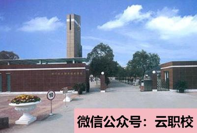 重慶市南丁衛(wèi)生學(xué)校招生對(duì)象(重慶沙坪壩區(qū)2021年衛(wèi)校招生有哪些要求)圖2