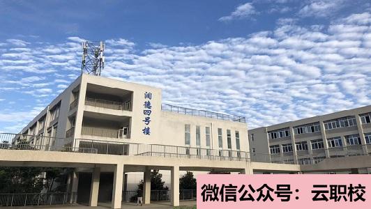 2021年四川華迪信息技術(shù)有限公司(四川托普計算機職業(yè)學(xué)校)圖3