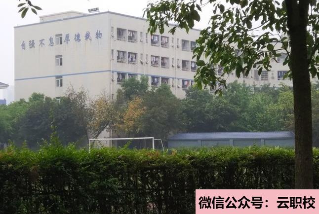 初中生怎么考衛(wèi)校?報(bào)名條件有哪些?(重慶沙坪壩區(qū)2021年初中生怎么考衛(wèi)校)圖1