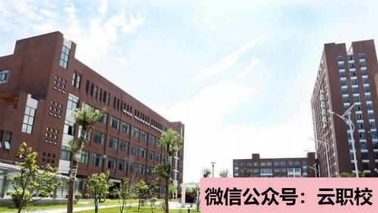 在衛(wèi)校里面學(xué)習(xí)什么專(zhuān)業(yè)好(重慶沙坪壩區(qū)2021年男生上衛(wèi)校學(xué)什么好)