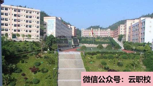 重慶市南丁衛(wèi)生學(xué)校招生對(duì)象(重慶沙坪壩區(qū)2021年讀衛(wèi)校有什么要求)