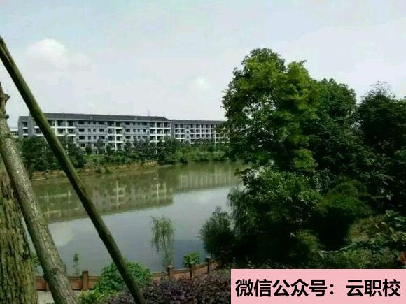 2021年四川瀘州高級中學招生要求及報名條件圖3