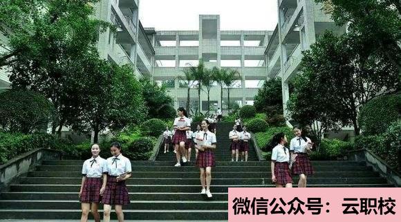2021年有機(jī)化學(xué)、物理化學(xué)與分子生物學(xué)、臨床醫(yī)學(xué)概論、藥物合成、藥物(臨床藥學(xué))