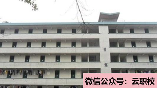 女生在衛(wèi)校學(xué)什么好?助產(chǎn)專業(yè)就業(yè)前景良好(重慶沙坪壩區(qū)2021年女生在衛(wèi)校學(xué)什么好)