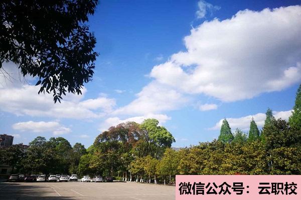 女生讀衛(wèi)校的優(yōu)勢(shì),衛(wèi)校就業(yè)前景與優(yōu)勢(shì)(廣西2021年女生學(xué)衛(wèi)校好嗎)