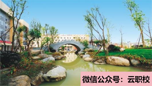 醫(yī)學(xué)檢驗(yàn)專業(yè)設(shè)本、?？萍爸袑Ｈ齻€辦學(xué)層次(醫(yī)學(xué)檢驗(yàn)技術(shù))