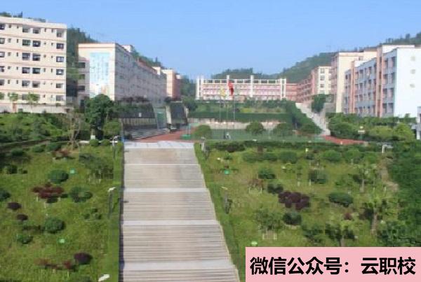 中醫(yī)學(xué)專業(yè)培養(yǎng)方向_衛(wèi)校招生(六安2021年衛(wèi)校什么專業(yè)有前途)圖1