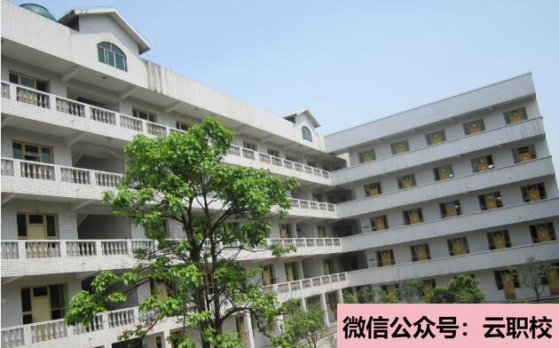 重慶中專可以升大專嗎?(重慶2021年衛(wèi)校中專升全日制大專)圖1