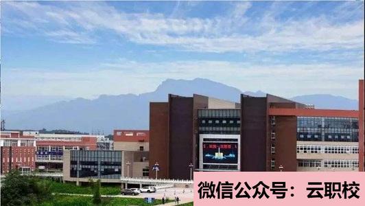 正德職業(yè)技術(shù)學(xué)院單招的招生計(jì)劃