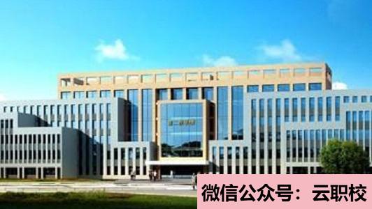 衛(wèi)校開設(shè)的專業(yè)不再單一化(六安2021年衛(wèi)校一般有哪些專業(yè))圖1