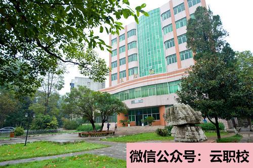 成都華達高中的招生計劃招生總計劃:500名(成都華達高中2021年招生簡章)圖2
