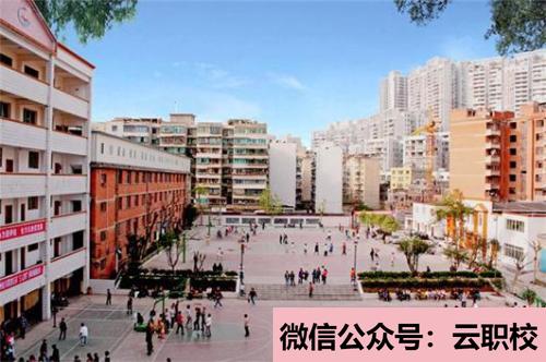 重慶知行衛(wèi)生學(xué)校護(hù)理專業(yè)招生要求(重慶沙坪壩區(qū)2021年初中生可以去學(xué)衛(wèi)校嗎)