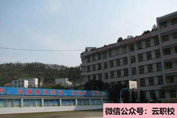 金山職業(yè)技術學院單招 生計劃圖3