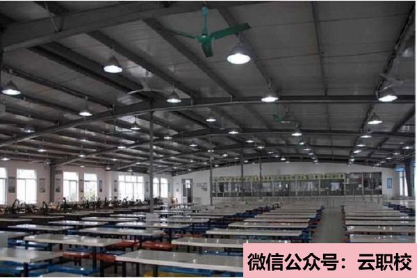 重慶市南丁衛(wèi)生學(xué)校招生對(duì)象(重慶沙坪壩區(qū)2021年衛(wèi)校招生有哪些要求)圖3