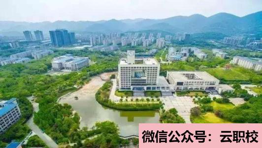 衛(wèi)校開設(shè)的專業(yè)不再單一化(六安2021年衛(wèi)校一般有哪些專業(yè))圖3