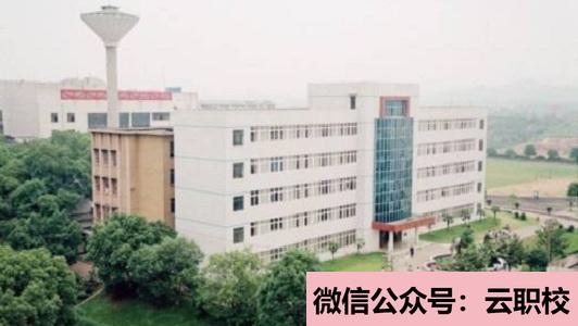瀘州第十五中學招生辦聯(lián)系電話