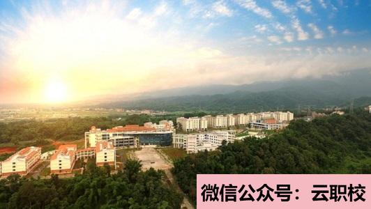 江蘇農(nóng)林職業(yè)技術(shù)學(xué)院成人教育招生簡(jiǎn)章