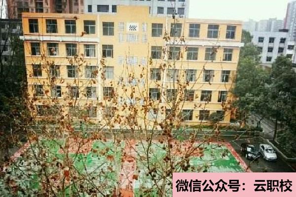 德陽(yáng)衛(wèi)校中有大專(zhuān)學(xué)校嗎?(德陽(yáng)2021年大專(zhuān)學(xué)校有衛(wèi)校)圖3