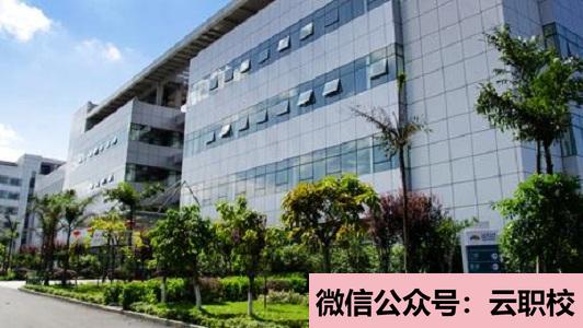 學(xué)前教育改革和發(fā)展需要,德、智、體、美全面發(fā)展(學(xué)前教育)