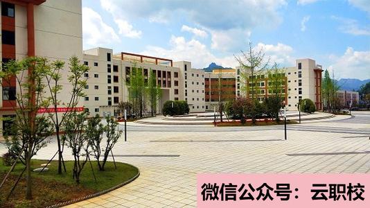 邢臺衛(wèi)校開設(shè)的專業(yè)有哪些?(邢臺2021年衛(wèi)校是學(xué)什么的)圖2