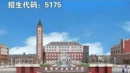 包含成都有哪些大學(xué)?？茖W(xué)校的詞條