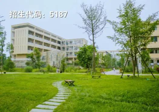包含成都有哪些大學(xué)?？茖W(xué)校的詞條