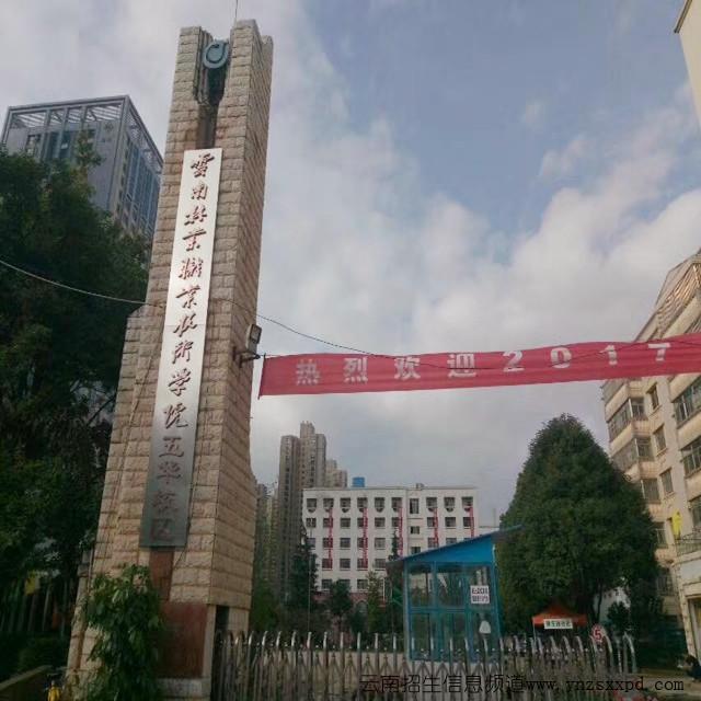 初中五年制大專(zhuān)有哪些好學(xué)校(招初中生的五年制大專(zhuān)學(xué)校)