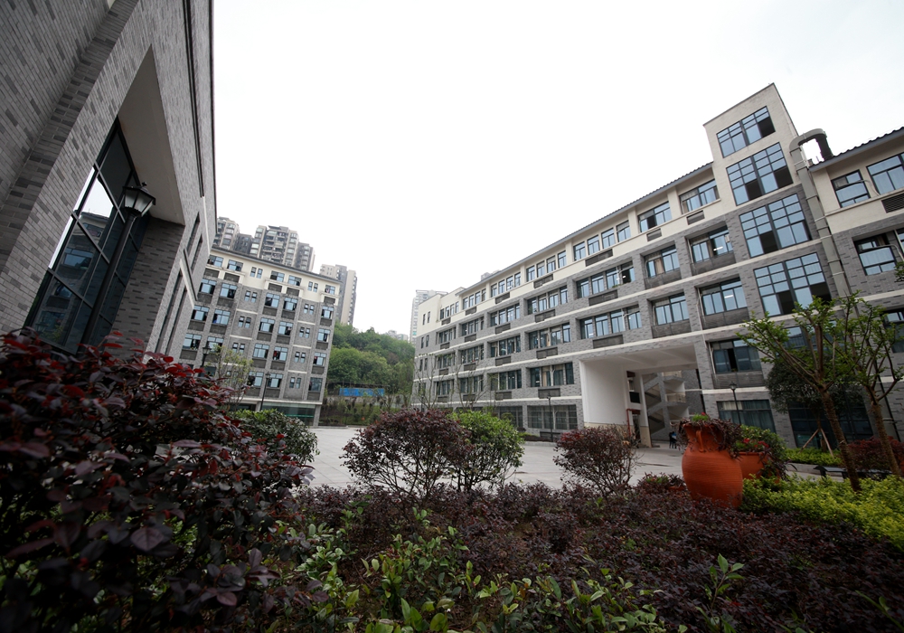 重慶有哪些藝術學校(重慶大學藝術生分數線)