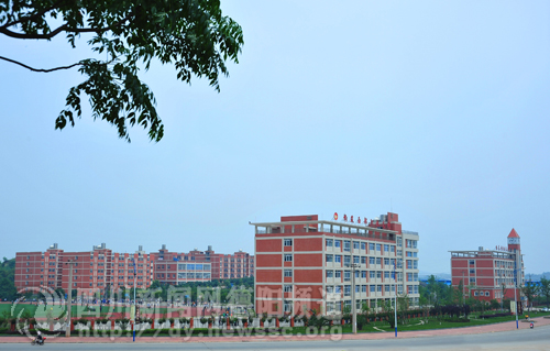 中等職業(yè)技術(shù)學校有什么專業(yè)(麗水旅游學校老師待遇)
