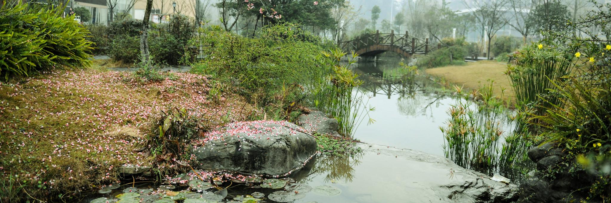 達(dá)縣師范專科學(xué)校(達(dá)縣師范?？茖W(xué)校有哪些專業(yè))