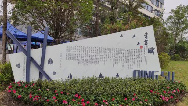 四川省成都市志翔職業(yè)學校(四川省成都市志翔職業(yè)學校2019屆的學生)