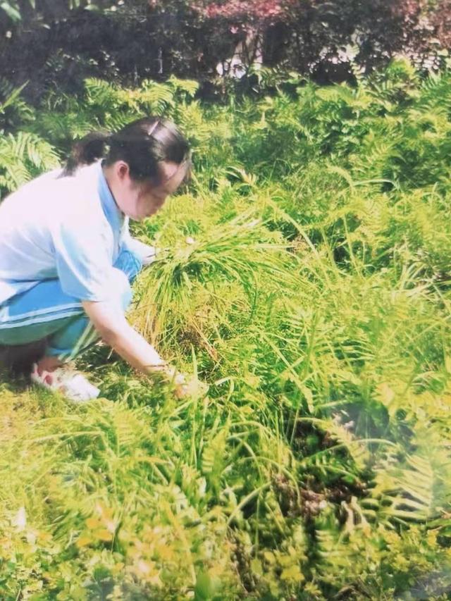 成都文理學院學費多少(成都文理學院專升本對口學校)