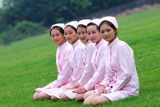 成都5年制大專學(xué)校有哪些的簡單介紹