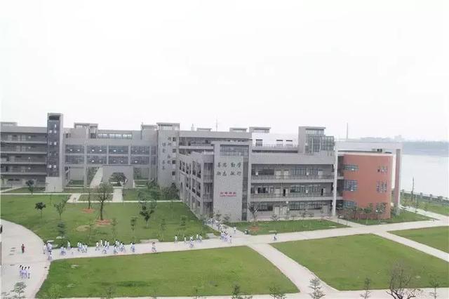 東莞衛(wèi)生學(xué)校(廣東省東莞衛(wèi)生學(xué)校)