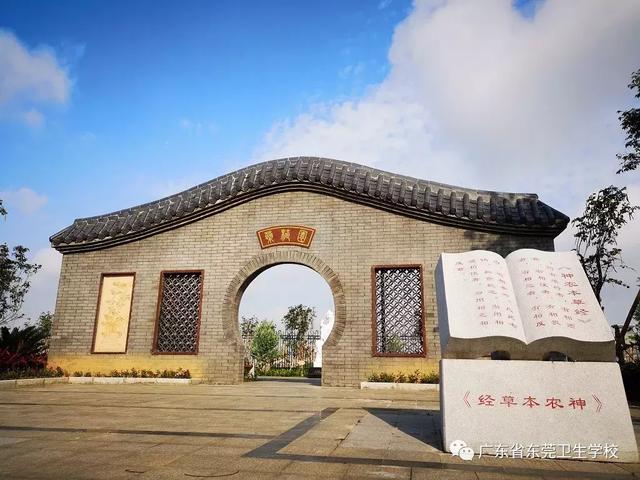 東莞衛(wèi)生學(xué)校(廣東省東莞衛(wèi)生學(xué)校)