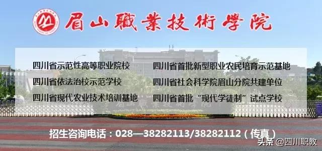 眉山職業(yè)技術學院官網(wǎng)(眉山職業(yè)技術學院官網(wǎng)首頁)