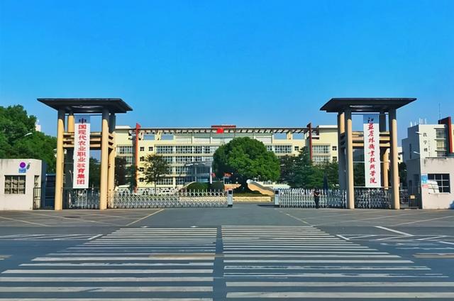 全國職業(yè)技術(shù)學(xué)院排名前十(全國職業(yè)技術(shù)學(xué)院排名前十名)